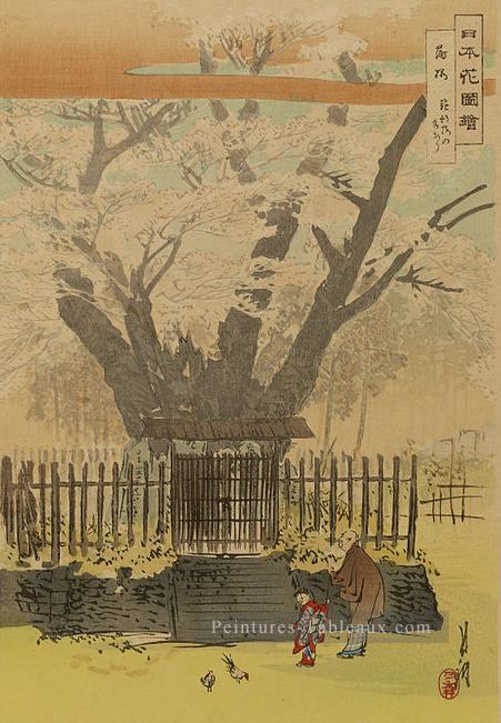 Nihon Hana ZUE 1896 1 Ogata Gekko ukiyo e Peintures à l'huile
